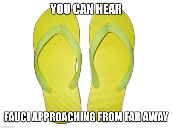 Flip Flops | YOU CAN HEAR FAUCI APPROACHING FROM FAR AWAY | image tagged in flip flops | made w/ Imgflip meme maker