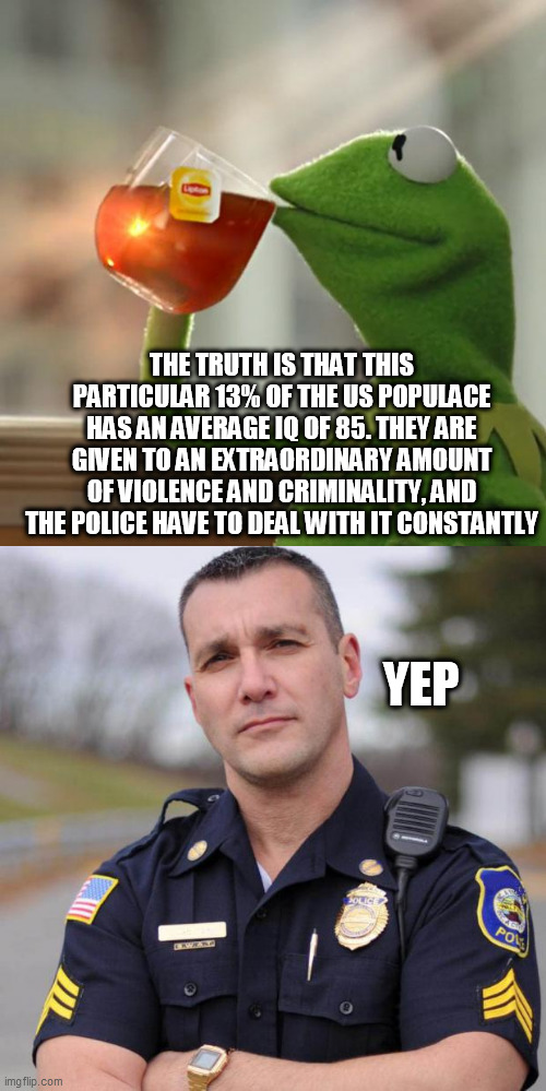 THE TRUTH IS THAT THIS PARTICULAR 13% OF THE US POPULACE HAS AN AVERAGE IQ OF 85. THEY ARE GIVEN TO AN EXTRAORDINARY AMOUNT OF VIOLENCE AND CRIMINALITY, AND THE POLICE HAVE TO DEAL WITH IT CONSTANTLY; YEP | image tagged in memes,but that's none of my business,cop | made w/ Imgflip meme maker