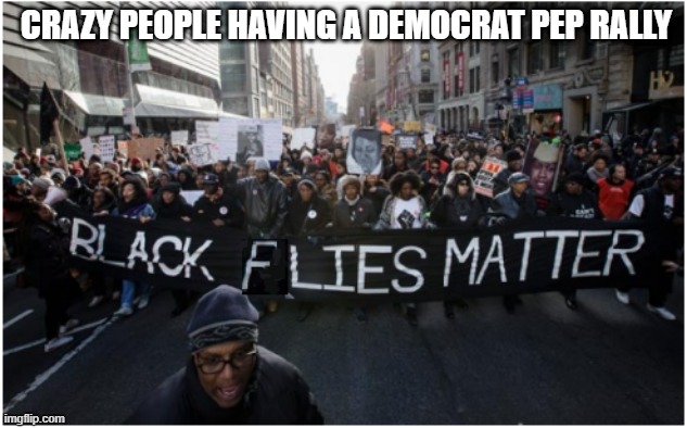 Black Flies Matter crazy people | CRAZY PEOPLE HAVING A DEMOCRAT PEP RALLY | image tagged in crying democrats | made w/ Imgflip meme maker