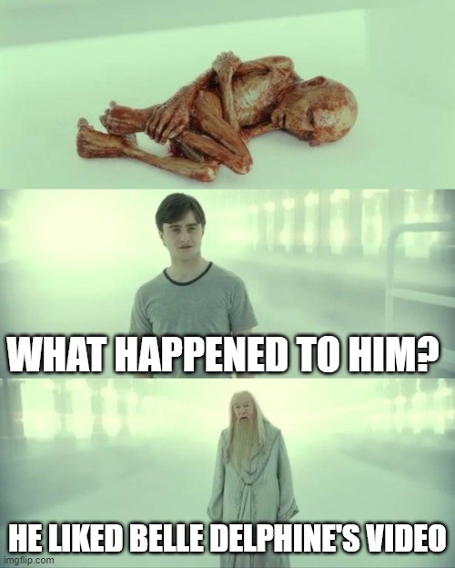 Dead Baby Voldemort / What Happened To Him | WHAT HAPPENED TO HIM? HE LIKED BELLE DELPHINE'S VIDEO | image tagged in dead baby voldemort / what happened to him | made w/ Imgflip meme maker