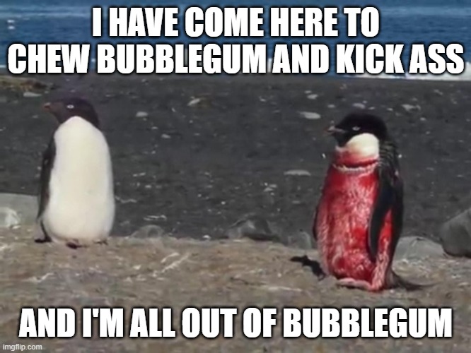 Bloody Penguin | I HAVE COME HERE TO CHEW BUBBLEGUM AND KICK ASS; AND I'M ALL OUT OF BUBBLEGUM | image tagged in bubblegum | made w/ Imgflip meme maker