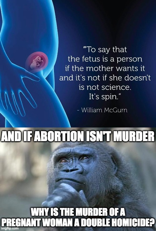 Abortion is murder! | AND IF ABORTION ISN'T MURDER; WHY IS THE MURDER OF A PREGNANT WOMAN A DOUBLE HOMICIDE? | image tagged in deep thoughts,memes,politics,abortion | made w/ Imgflip meme maker