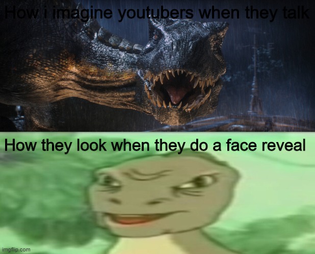 Yee | How i imagine youtubers when they talk; How they look when they do a face reveal | image tagged in unsettled tom,memes | made w/ Imgflip meme maker