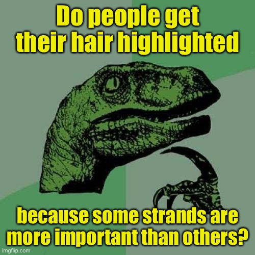 Philosoraptor Meme | Do people get their hair highlighted; because some strands are more important than others? | image tagged in memes,philosoraptor | made w/ Imgflip meme maker