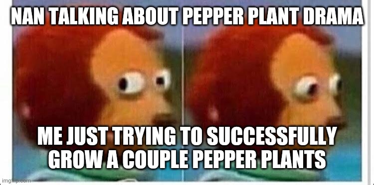 Awkward muppet | NAN TALKING ABOUT PEPPER PLANT DRAMA; ME JUST TRYING TO SUCCESSFULLY GROW A COUPLE PEPPER PLANTS | image tagged in awkward muppet | made w/ Imgflip meme maker