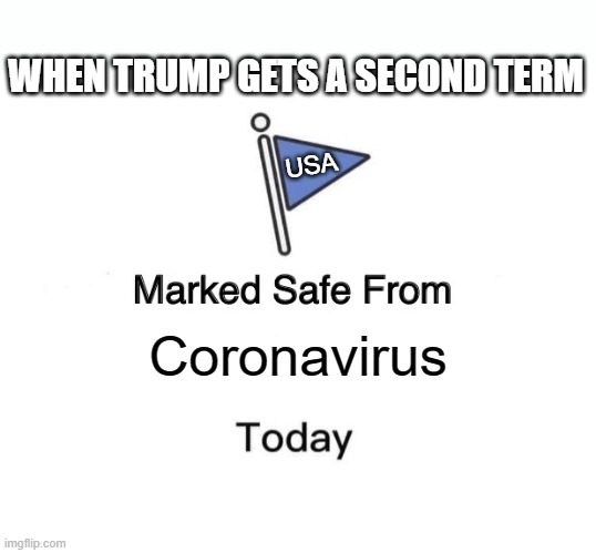 I won the second term! | WHEN TRUMP GETS A SECOND TERM; USA; Coronavirus | image tagged in memes,marked safe from,trump,donald trump,politics | made w/ Imgflip meme maker