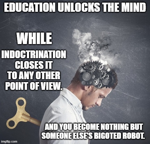 politics | WHILE; AND YOU BECOME NOTHING BUT SOMEONE ELSE'S BIGOTED ROBOT. | image tagged in political meme | made w/ Imgflip meme maker