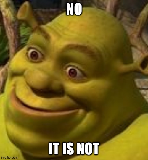 Shrek Face | NO IT IS NOT | image tagged in shrek face | made w/ Imgflip meme maker