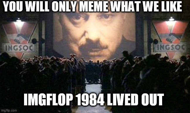 Big brother  | YOU WILL ONLY MEME WHAT WE LIKE; IMGFLOP 1984 LIVED OUT | image tagged in big brother | made w/ Imgflip meme maker