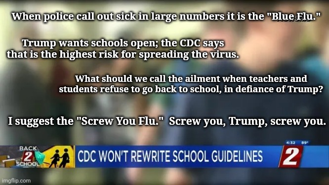 Screw You, Trump | When police call out sick in large numbers it is the "Blue Flu."; Trump wants schools open; the CDC says that is the highest risk for spreading the virus. What should we call the ailment when teachers and students refuse to go back to school, in defiance of Trump? I suggest the "Screw You Flu."  Screw you, Trump, screw you. | image tagged in trump | made w/ Imgflip meme maker