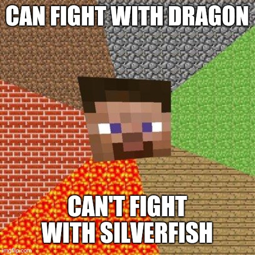 . | CAN FIGHT WITH DRAGON; CAN'T FIGHT WITH SILVERFISH | image tagged in minecraft steve | made w/ Imgflip meme maker