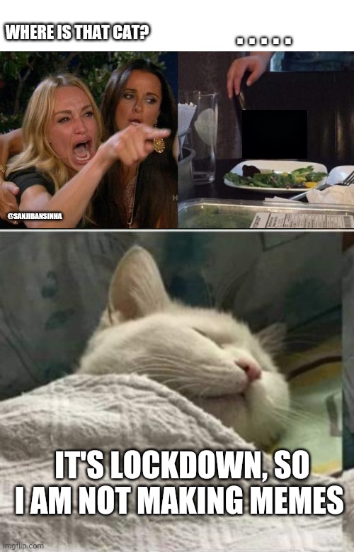 Lockdown | . . . . . WHERE IS THAT CAT? @SANJIBANSINHA; IT'S LOCKDOWN, SO I AM NOT MAKING MEMES | image tagged in memes,woman yelling at cat,cat sleeping blanket r | made w/ Imgflip meme maker