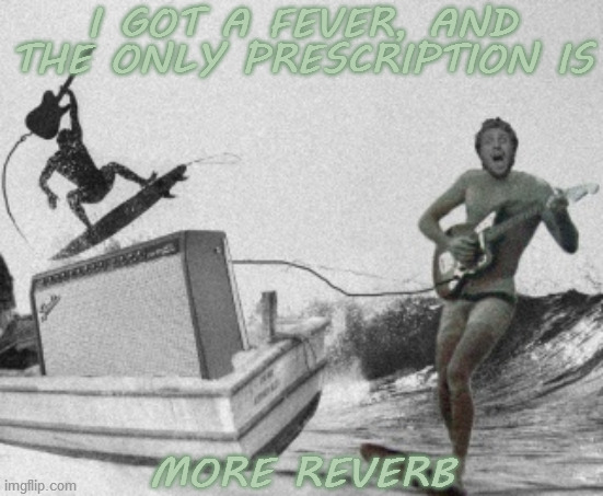 I GOT A FEVER, AND THE ONLY PRESCRIPTION IS; MORE REVERB | image tagged in surf rock,guitar,reverb,fever,prescription,more cowbell | made w/ Imgflip meme maker