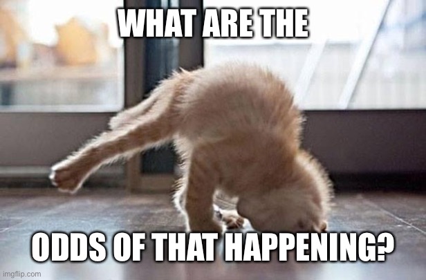 yoga kitty | WHAT ARE THE ODDS OF THAT HAPPENING? | image tagged in yoga kitty | made w/ Imgflip meme maker