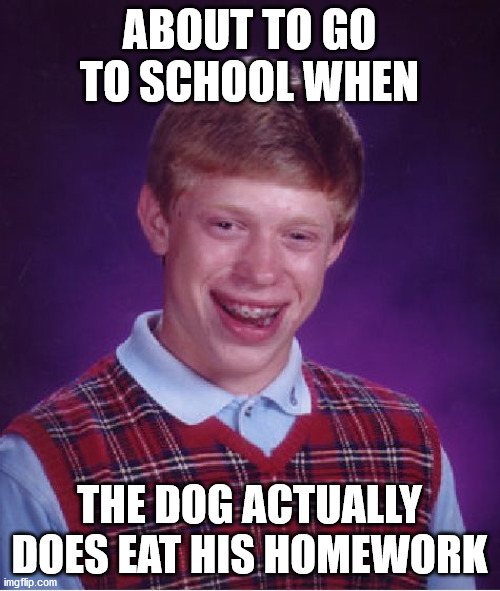 Bad Luck Brian Meme | ABOUT TO GO TO SCHOOL WHEN THE DOG ACTUALLY DOES EAT HIS HOMEWORK | image tagged in memes,bad luck brian | made w/ Imgflip meme maker