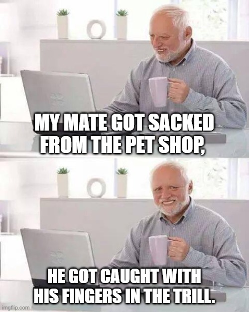 Hide the Pain Harold Meme | MY MATE GOT SACKED FROM THE PET SHOP, HE GOT CAUGHT WITH HIS FINGERS IN THE TRILL. | image tagged in memes,hide the pain harold | made w/ Imgflip meme maker