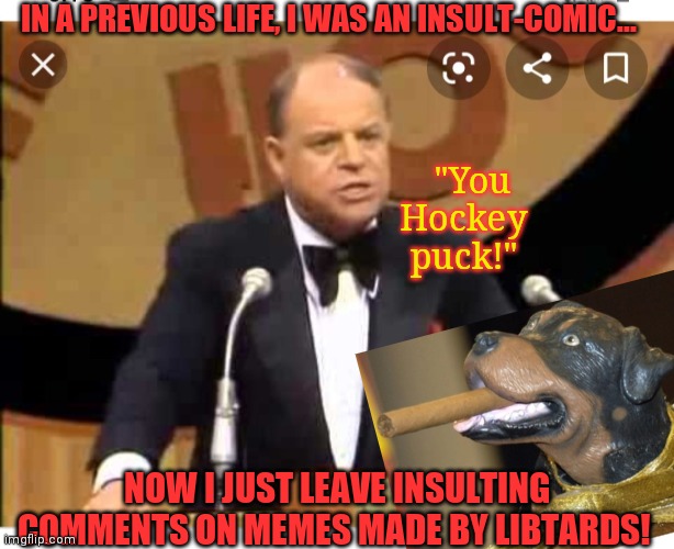 INSULT-MEMER | IN A PREVIOUS LIFE, I WAS AN INSULT-COMIC... "You Hockey puck!"; NOW I JUST LEAVE INSULTING COMMENTS ON MEMES MADE BY LIBTARDS! | image tagged in triggered liberal,liberal vs conservative,republican party,rules | made w/ Imgflip meme maker