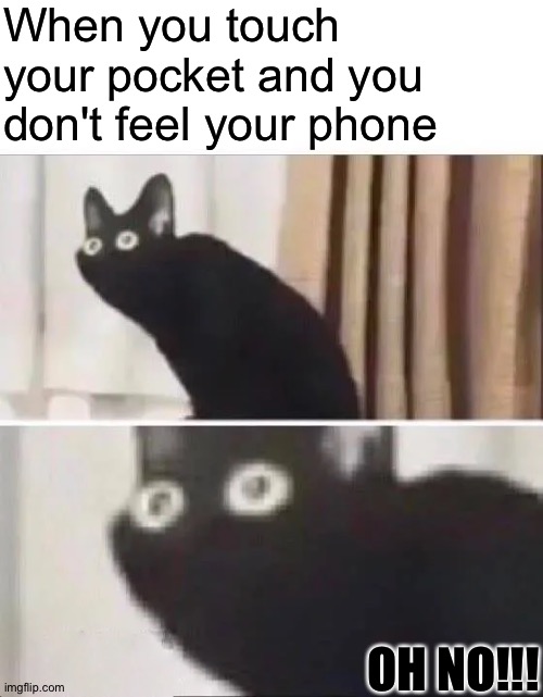 Me phone is gone!!! | When you touch your pocket and you don't feel your phone; OH NO!!! | image tagged in oh no black cat,cat,phone,touch your pocket and you don't feel your phone,touch,heart attack | made w/ Imgflip meme maker