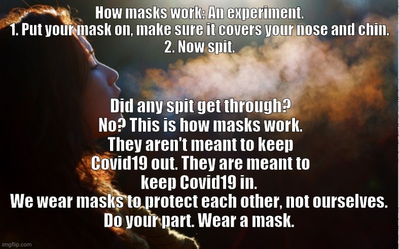 Masks for dummies | Did any spit get through? No? This is how masks work.
They aren't meant to keep Covid19 out. They are meant to keep Covid19 in. 
We wear masks to protect each other, not ourselves. 
Do your part. Wear a mask. How masks work: An experiment.
1. Put your mask on, make sure it covers your nose and chin.
2. Now spit. | image tagged in covid19,masks,face mask,covid-19,covidiots | made w/ Imgflip meme maker