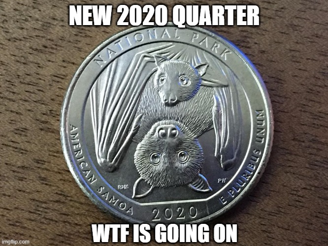 2020 | NEW 2020 QUARTER; WTF IS GOING ON | image tagged in coronavirus,2020 | made w/ Imgflip meme maker