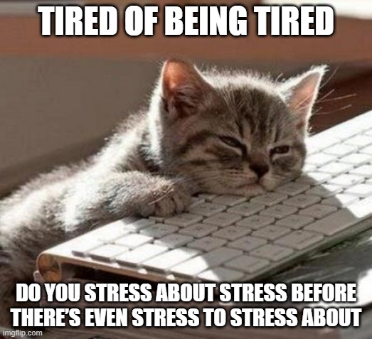 tired cat | TIRED OF BEING TIRED; DO YOU STRESS ABOUT STRESS BEFORE THERE’S EVEN STRESS TO STRESS ABOUT | image tagged in tired cat | made w/ Imgflip meme maker