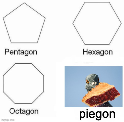"MY PIE!!!!!!!", said the piegon | piegon | image tagged in memes,pentagon hexagon octagon | made w/ Imgflip meme maker