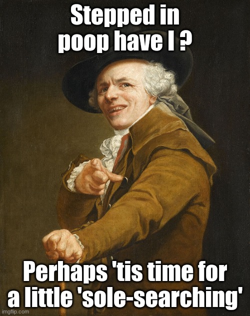 Stepped in poop have I? | Stepped in poop have I ? Perhaps 'tis time for a little 'sole-searching' | image tagged in joseph ducreux,jokes,memes | made w/ Imgflip meme maker