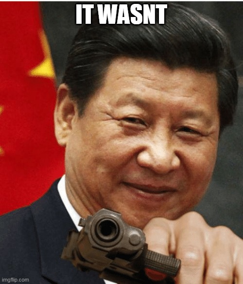 Xi Jinping | IT WASNT | image tagged in xi jinping | made w/ Imgflip meme maker