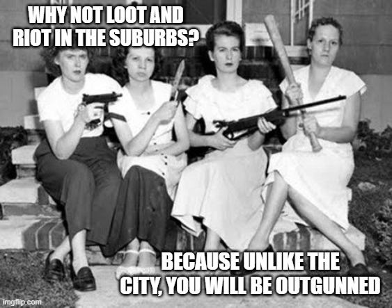 Women-&-Weapons | WHY NOT LOOT AND RIOT IN THE SUBURBS? BECAUSE UNLIKE THE CITY, YOU WILL BE OUTGUNNED | image tagged in women--weapons | made w/ Imgflip meme maker