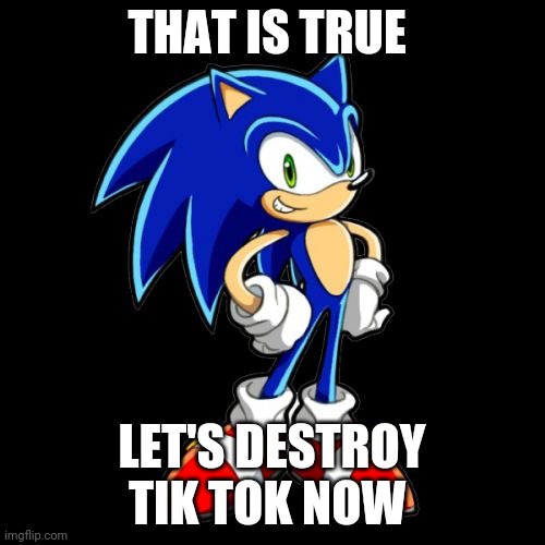 You're Too Slow Sonic Meme | THAT IS TRUE LET'S DESTROY TIK TOK NOW | image tagged in memes,you're too slow sonic | made w/ Imgflip meme maker