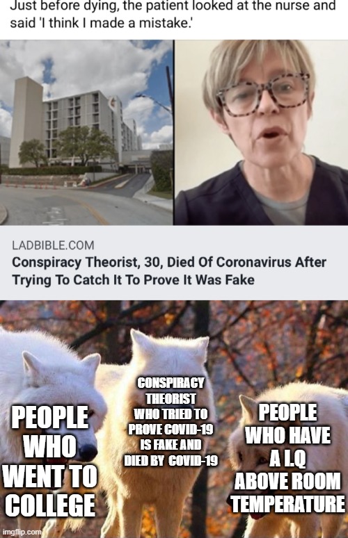 When you pinch them, They pinch back | PEOPLE WHO WENT TO COLLEGE; CONSPIRACY THEORIST WHO TRIED TO PROVE COVID-19 IS FAKE AND DIED BY  COVID-19; PEOPLE WHO HAVE A I.Q ABOVE ROOM TEMPERATURE | image tagged in laughing wolf | made w/ Imgflip meme maker