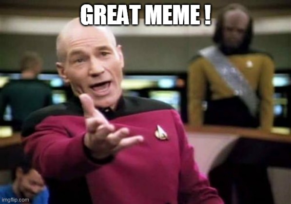 Picard Wtf Meme | GREAT MEME ! | image tagged in memes,picard wtf | made w/ Imgflip meme maker