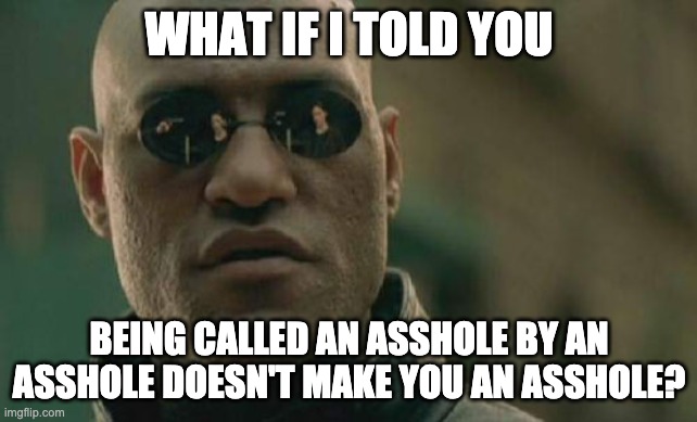 Matrix Morpheus Meme | WHAT IF I TOLD YOU; BEING CALLED AN ASSHOLE BY AN ASSHOLE DOESN'T MAKE YOU AN ASSHOLE? | image tagged in memes,matrix morpheus | made w/ Imgflip meme maker
