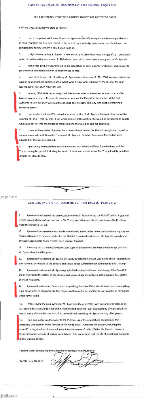 image tagged in tiffany doe affidavit p 1 marked,tiffany doe affidavit p 2 marked | made w/ Imgflip meme maker