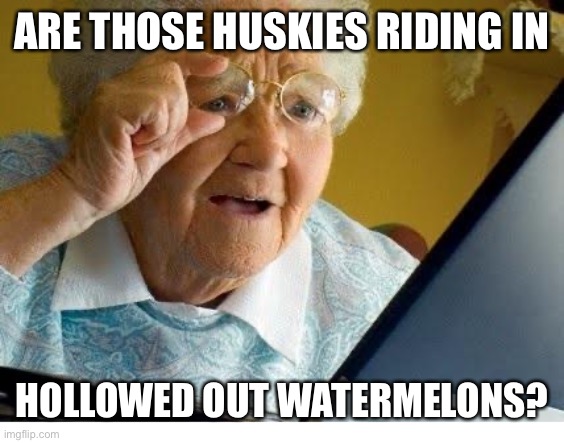 old lady at computer | ARE THOSE HUSKIES RIDING IN HOLLOWED OUT WATERMELONS? | image tagged in old lady at computer | made w/ Imgflip meme maker