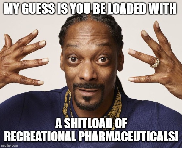 MY GUESS IS YOU BE LOADED WITH A SHITLOAD OF RECREATIONAL PHARMACEUTICALS! | made w/ Imgflip meme maker