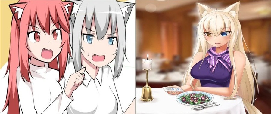 High Quality woman yelling at cat anime Blank Meme Template