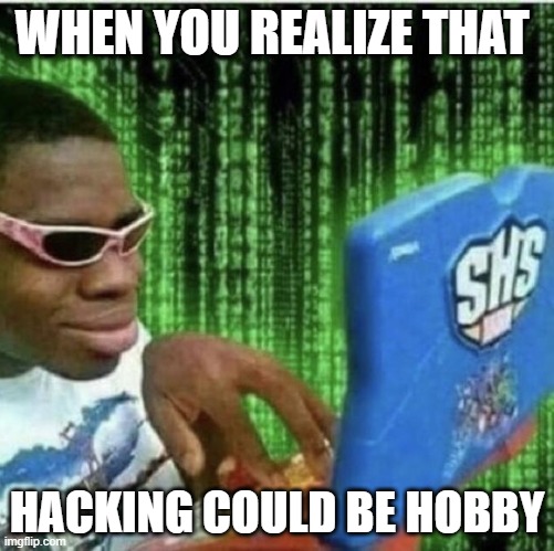 Ryan Beckford | WHEN YOU REALIZE THAT; HACKING COULD BE HOBBY | image tagged in ryan beckford | made w/ Imgflip meme maker