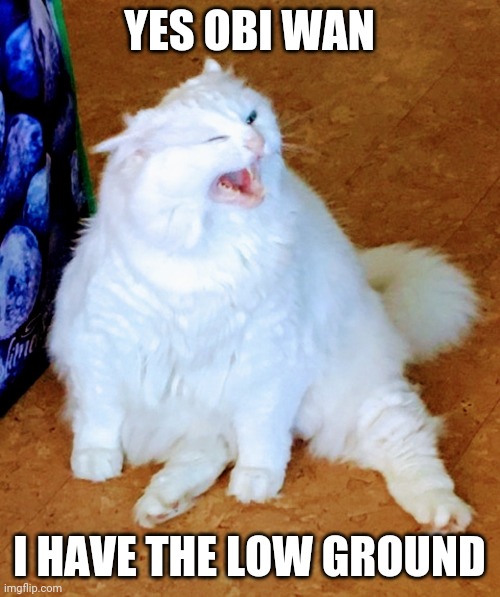 Obi cat | YES OBI WAN; I HAVE THE LOW GROUND | image tagged in yelling white cat | made w/ Imgflip meme maker