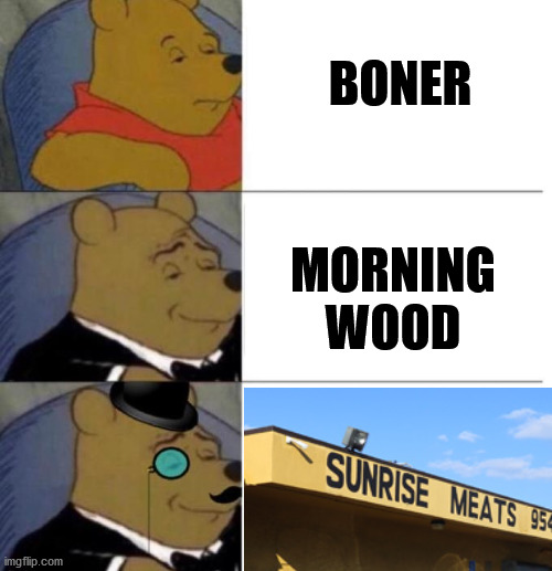 Staying classy. | BONER; MORNING
WOOD | image tagged in tuxedo winnie the pooh 3 panel | made w/ Imgflip meme maker