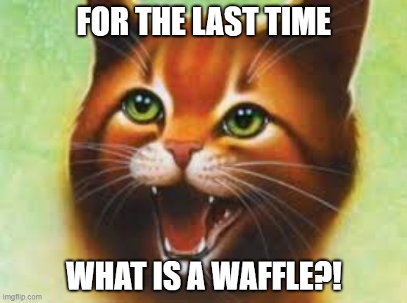 Warrior cats Firestar | FOR THE LAST TIME; WHAT IS A WAFFLE?! | image tagged in warrior cats firestar | made w/ Imgflip meme maker