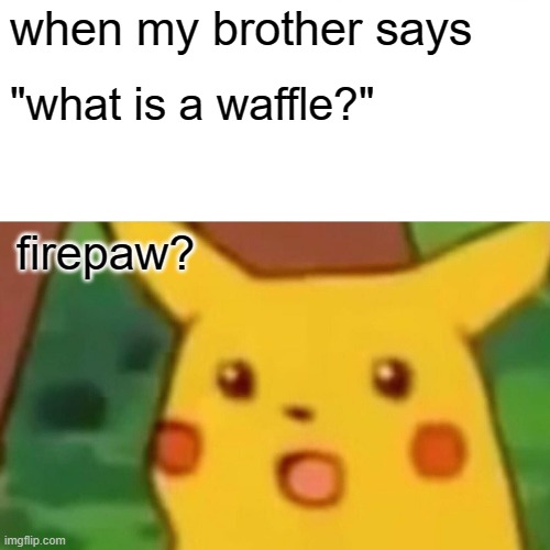 wait wot? | when my brother says; "what is a waffle?"; firepaw? | image tagged in memes,surprised pikachu | made w/ Imgflip meme maker
