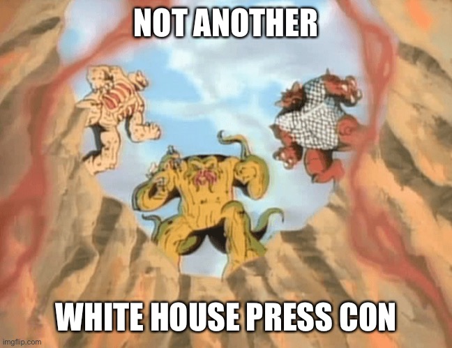 NOT ANOTHER; WHITE HOUSE PRESS CONFERENCE | image tagged in white house | made w/ Imgflip meme maker