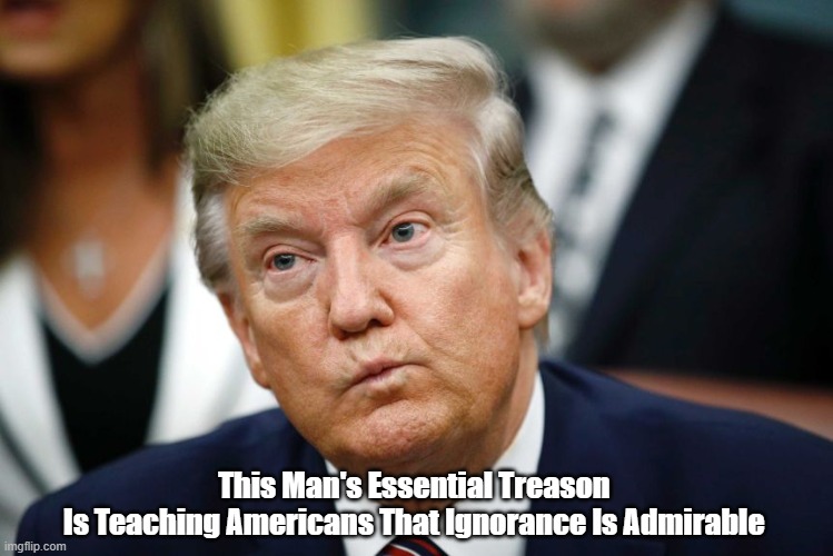  This Man's Essential Treason 
Is Teaching Americans That Ignorance Is Admirable | made w/ Imgflip meme maker