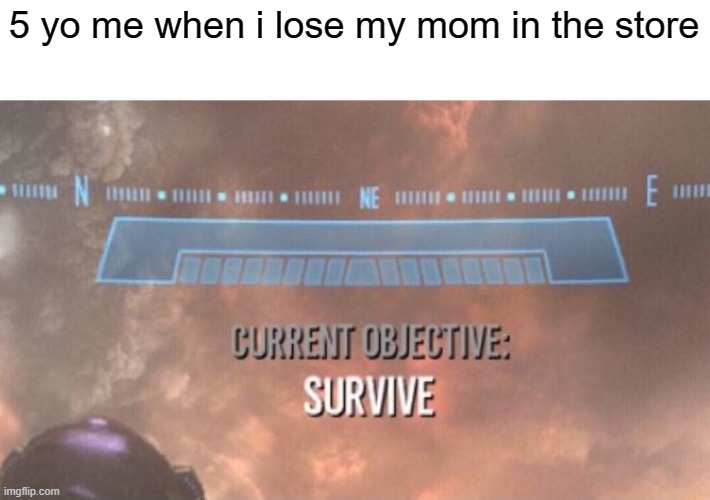 current-objective-survive-imgflip