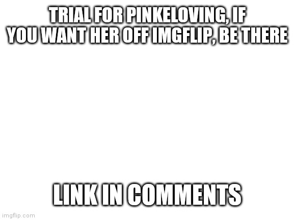 Blank White Template | TRIAL FOR PINKELOVING, IF YOU WANT HER OFF IMGFLIP, BE THERE; LINK IN COMMENTS | image tagged in blank white template | made w/ Imgflip meme maker