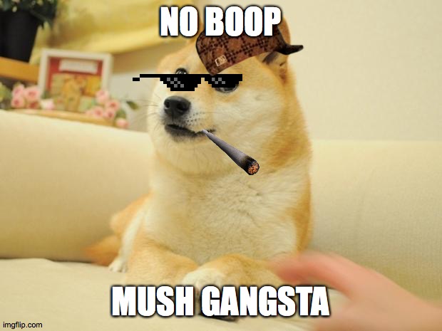 Doge 2 Memes Gifs Imgflip - boop dog roblox