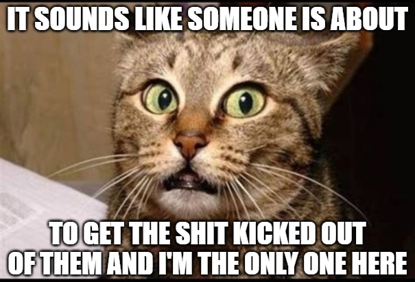 Home Alone | IT SOUNDS LIKE SOMEONE IS ABOUT; TO GET THE SHIT KICKED OUT OF THEM AND I'M THE ONLY ONE HERE | image tagged in cats,memes,fun,funny,funny memes,scared | made w/ Imgflip meme maker