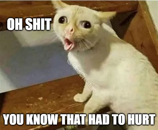 Pain | OH SHIT; YOU KNOW THAT HAD TO HURT | image tagged in cats,memes,fun,funny,funny memes | made w/ Imgflip meme maker