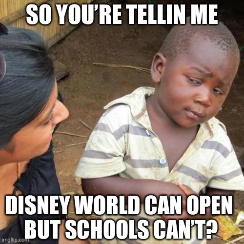 We’re all being played... | SO YOU’RE TELLIN ME; DISNEY WORLD CAN OPEN 
BUT SCHOOLS CAN’T? | image tagged in covidiots,hoax | made w/ Imgflip meme maker
